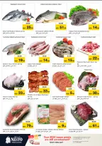 الانتقال إلى الصفحة 20 من 31