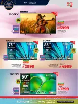 الانتقال إلى الصفحة 16 من 36