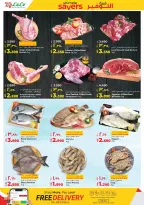 الانتقال إلى الصفحة 18 من 59