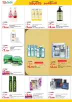 الانتقال إلى الصفحة 28 من 59