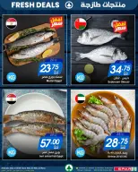 الانتقال إلى الصفحة 4 من 8