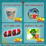 الانتقال إلى الصفحة 9 من 15