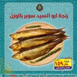 الانتقال إلى الصفحة 13 من 15