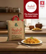 الانتقال إلى الصفحة 11 من 17