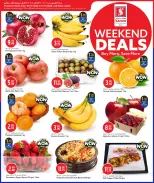 الانتقال إلى الصفحة 3 من 17