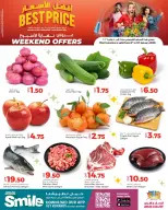 الانتقال إلى الصفحة 1 من 5