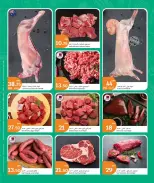 الانتقال إلى الصفحة 2 من 7