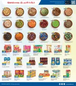 الانتقال إلى الصفحة 8 من 16