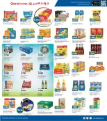 الانتقال إلى الصفحة 5 من 8