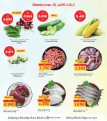 الانتقال إلى الصفحة 5 من 12