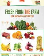 Ramez Markets Qatar Offers from 8 to 14 January 2026 Back to School Deals