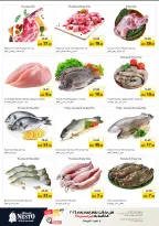 الانتقال إلى الصفحة 20 من 42