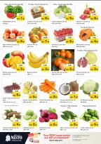 الانتقال إلى الصفحة 2 من 42