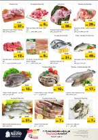 الانتقال إلى الصفحة 19 من 42