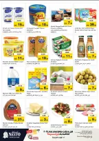 الانتقال إلى الصفحة 22 من 43