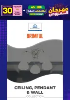 Ir a la pagina 247 de 293