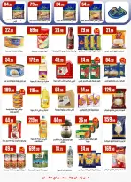 الانتقال إلى الصفحة 21 من 49