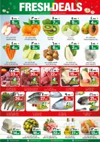 الانتقال إلى الصفحة 3 من 12