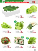 الانتقال إلى الصفحة 3 من 5