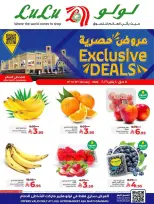 الانتقال إلى الصفحة 1 من 5