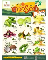 الانتقال إلى الصفحة 1 من 1