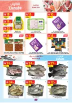 الانتقال إلى الصفحة 8 من 26