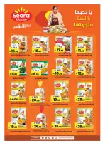 الانتقال إلى الصفحة 17 من 36