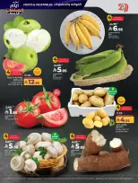 الانتقال إلى الصفحة 29 من 67