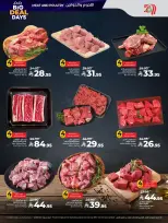 الانتقال إلى الصفحة 32 من 67