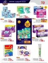 الانتقال إلى الصفحة 43 من 67