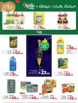 الانتقال إلى الصفحة 7 من 67