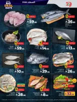 الانتقال إلى الصفحة 30 من 70