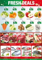 الانتقال إلى الصفحة 3 من 12