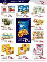 الانتقال إلى الصفحة 21 من 70