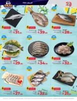 الانتقال إلى الصفحة 31 من 70