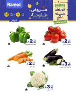 الانتقال إلى الصفحة 2 من 11