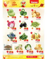 الانتقال إلى الصفحة 9 من 12