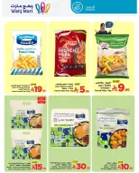 الانتقال إلى الصفحة 41 من 49