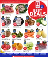 الانتقال إلى الصفحة 1 من 3