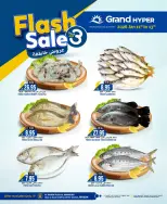 الانتقال إلى الصفحة 19 من 20