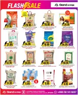 الانتقال إلى الصفحة 16 من 20