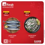 الانتقال إلى الصفحة 4 من 4