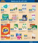 الانتقال إلى الصفحة 18 من 37