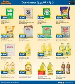 الانتقال إلى الصفحة 11 من 37