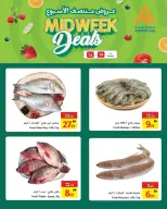 Ofertas de Cooperativa Ajmán Emiratos Árabes Unidos de 12 a 14 enero 2026 Ofertas de mitad de semana