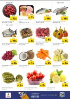 الانتقال إلى الصفحة 12 من 15