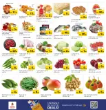 الانتقال إلى الصفحة 8 من 13