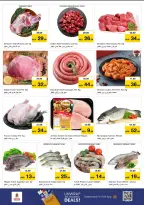 الانتقال إلى الصفحة 11 من 14