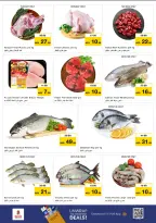 الانتقال إلى الصفحة 7 من 10