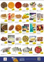 الانتقال إلى الصفحة 5 من 5